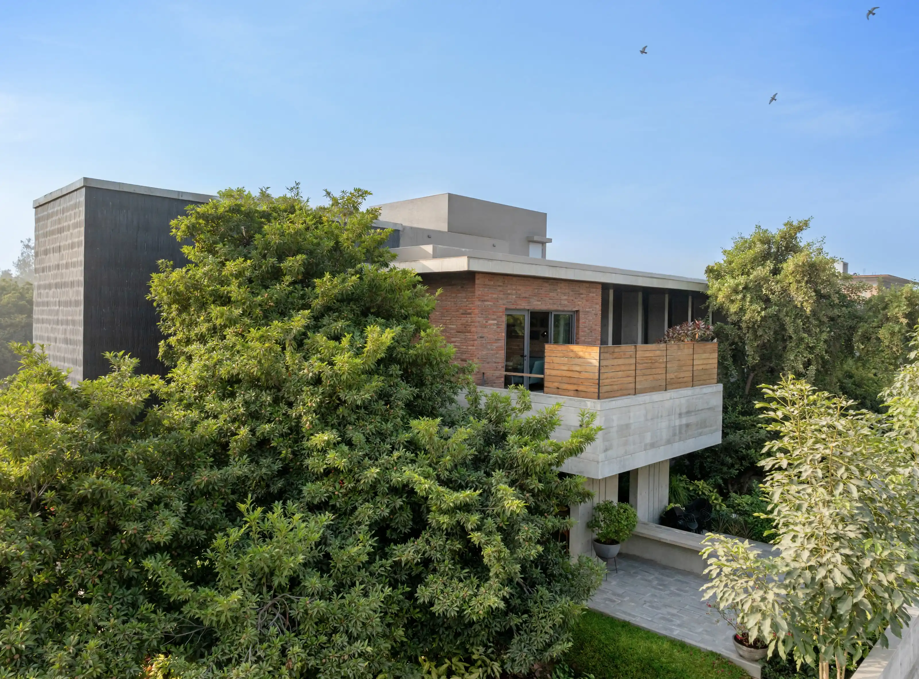 Aerial view of the linear plot, the house, the lawn and the six mature trees